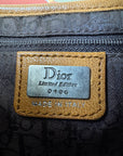 Dior by Galliano Limited Edition Embellished Suede Saddle Bag (2009)