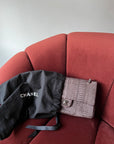 Chanel Medium Classic Double Flap In Espresso Python (2011)