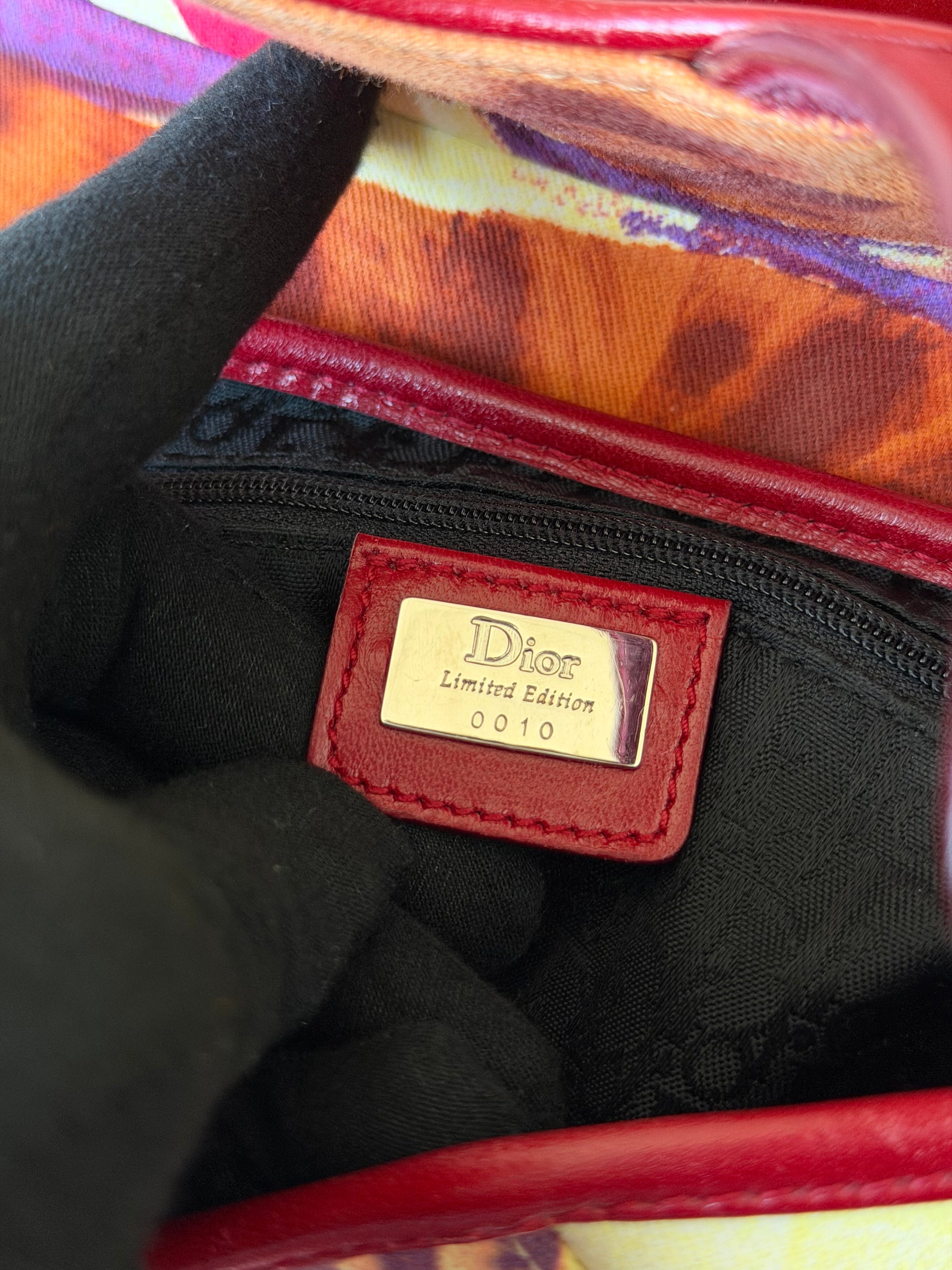 Dior By John Galliano Limited Edition Victim Saddle Bag (2003)