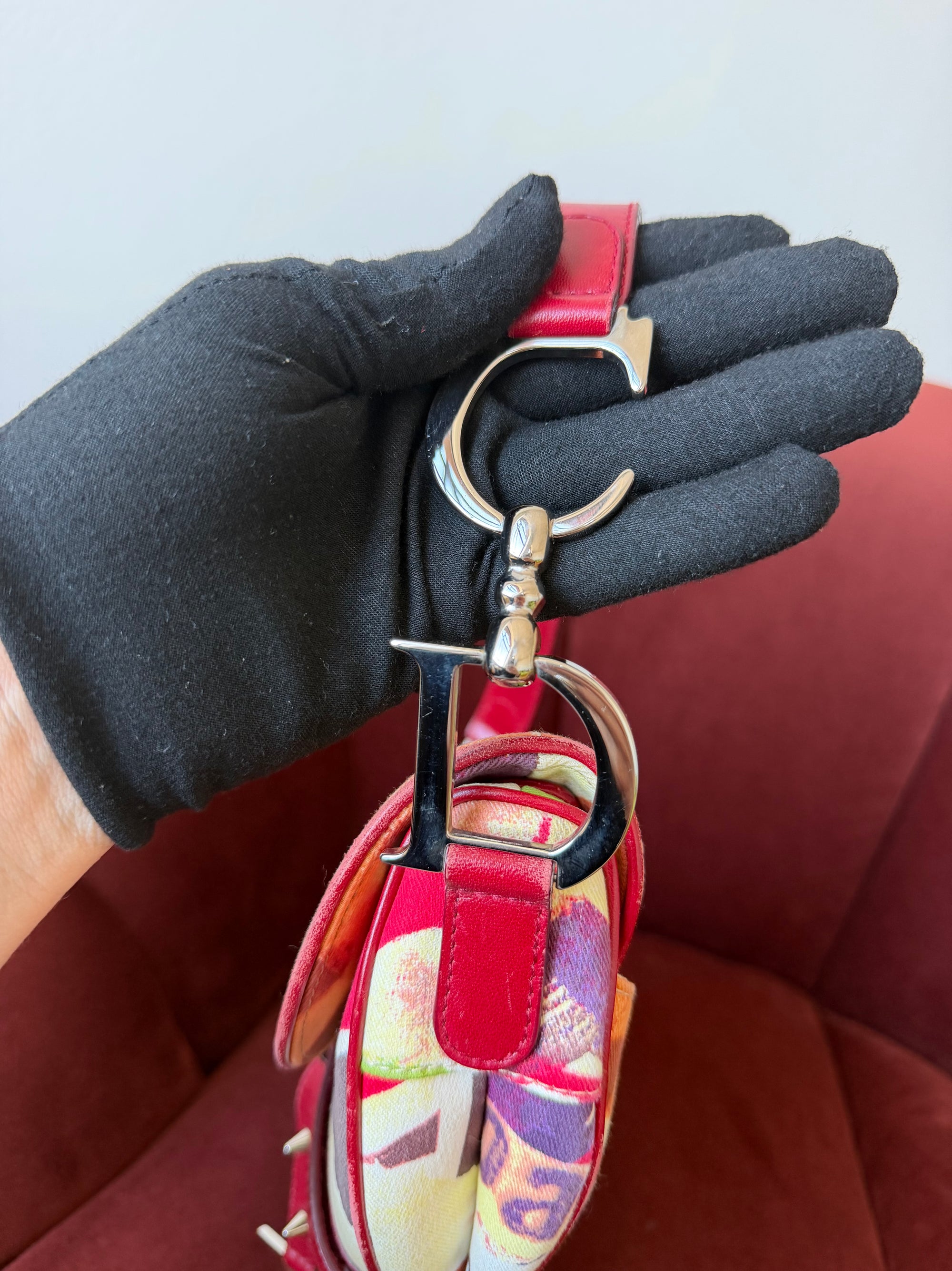 Dior By John Galliano Limited Edition Victim Saddle Bag (2003)