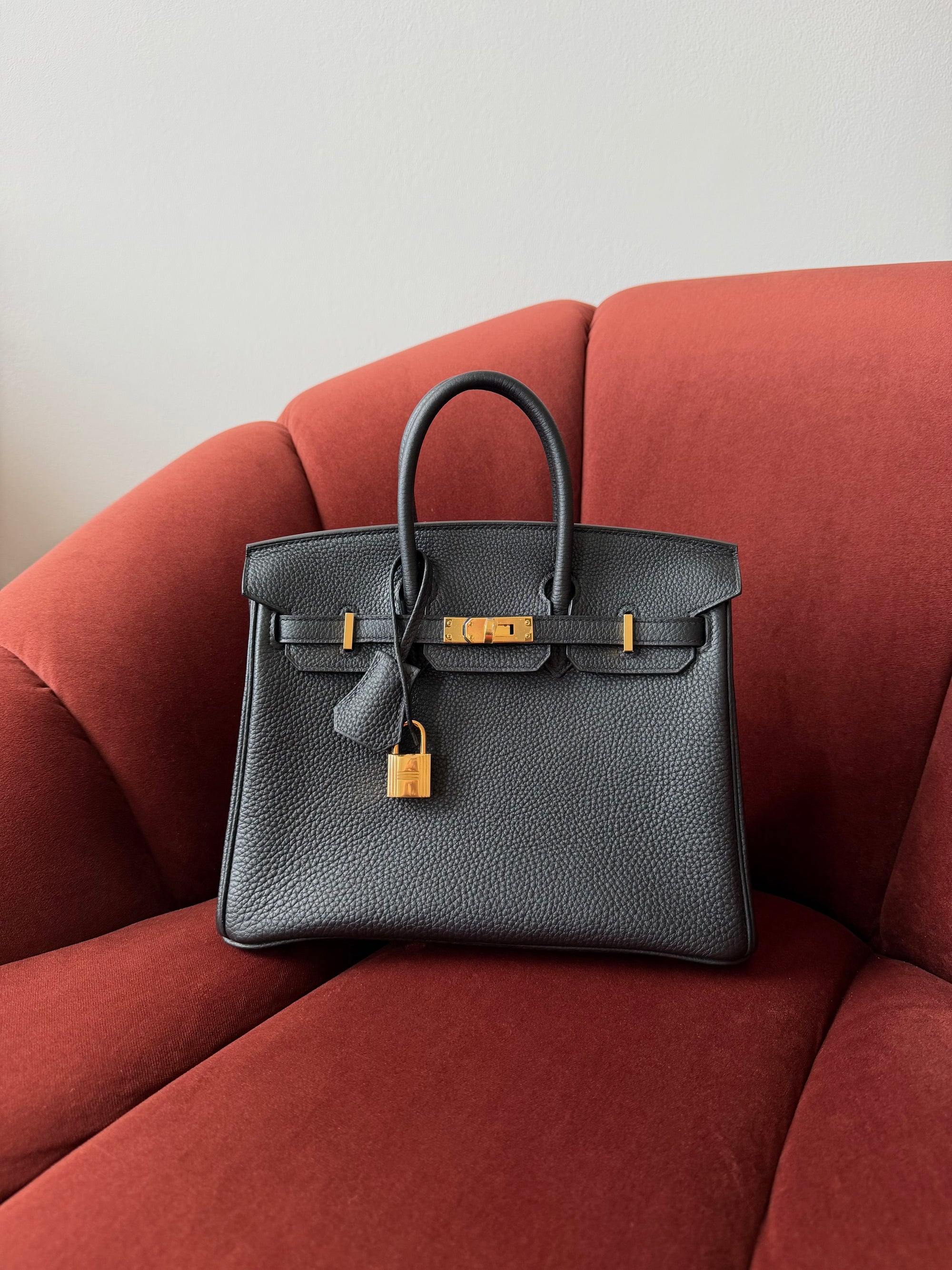 Hermès Birkin 25 In Black Togo Leather (2019)
