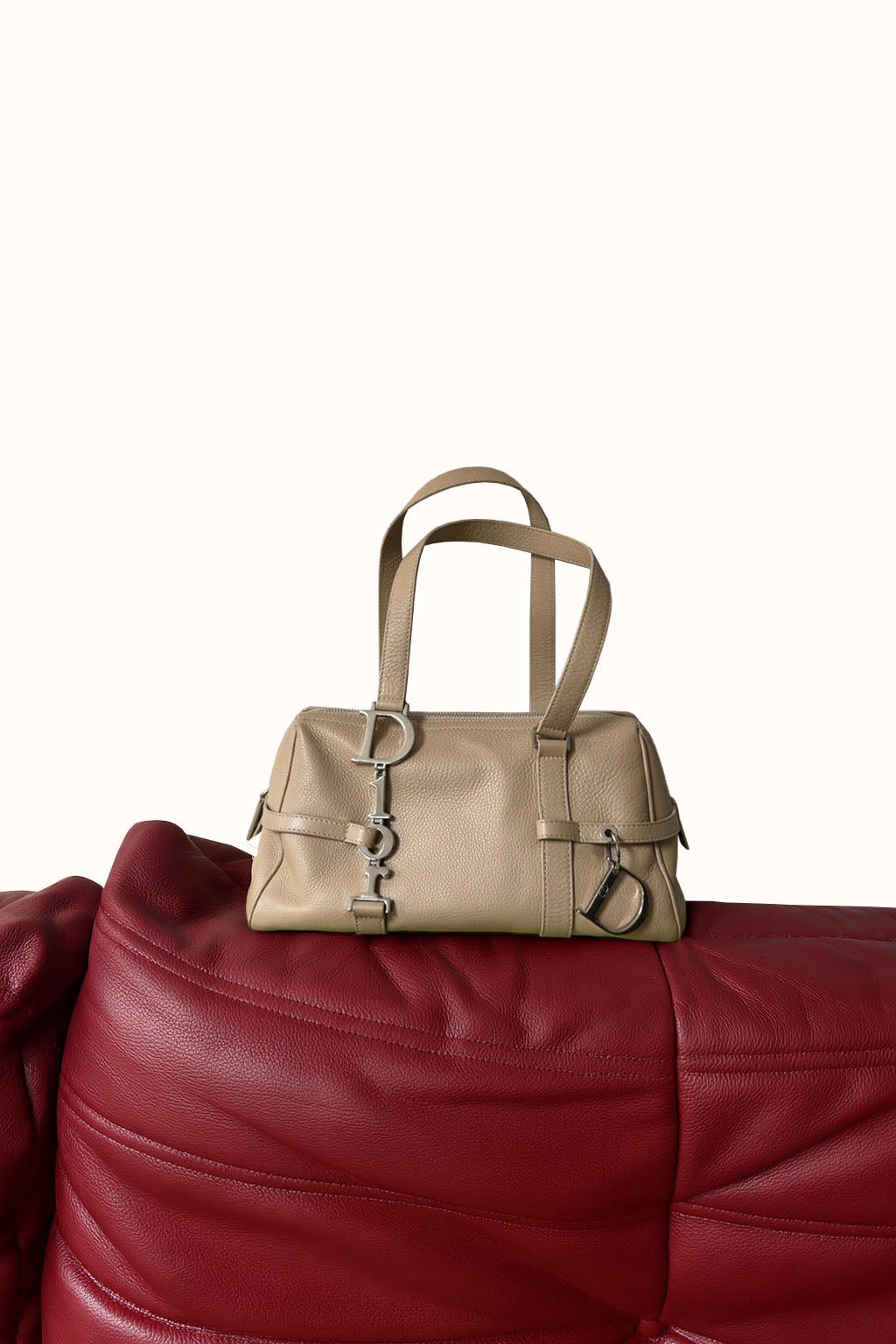Dior Spellout shoulder bag