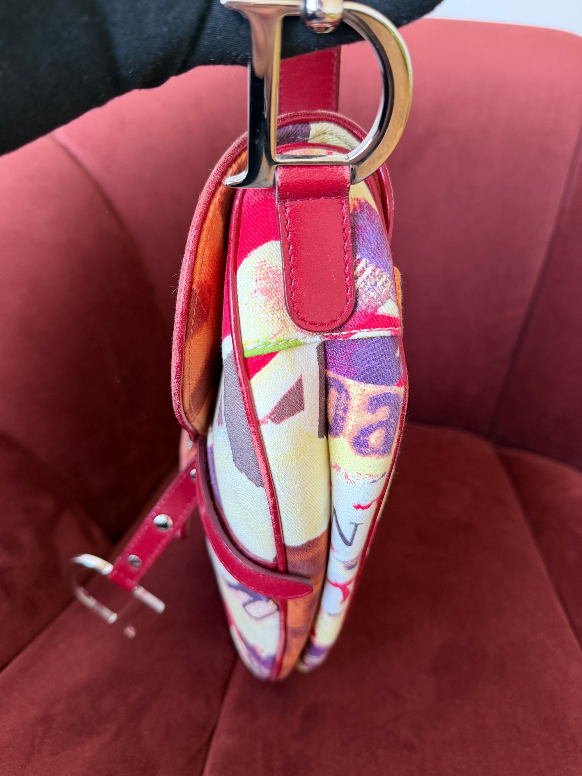 Dior By John Galliano Limited Edition Victim Saddle Bag (2003)