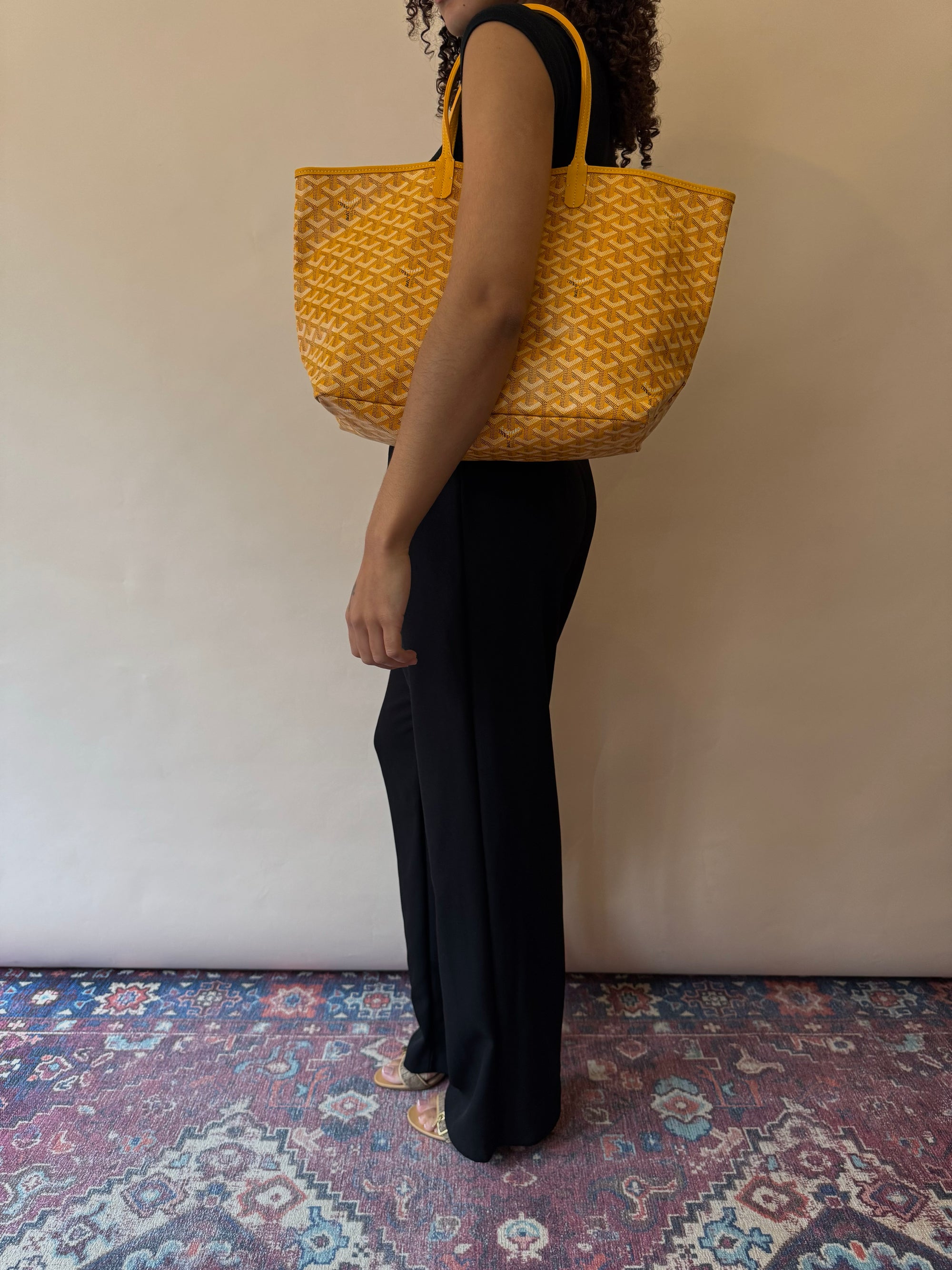 Goyard St Louis Tote PM (2023)