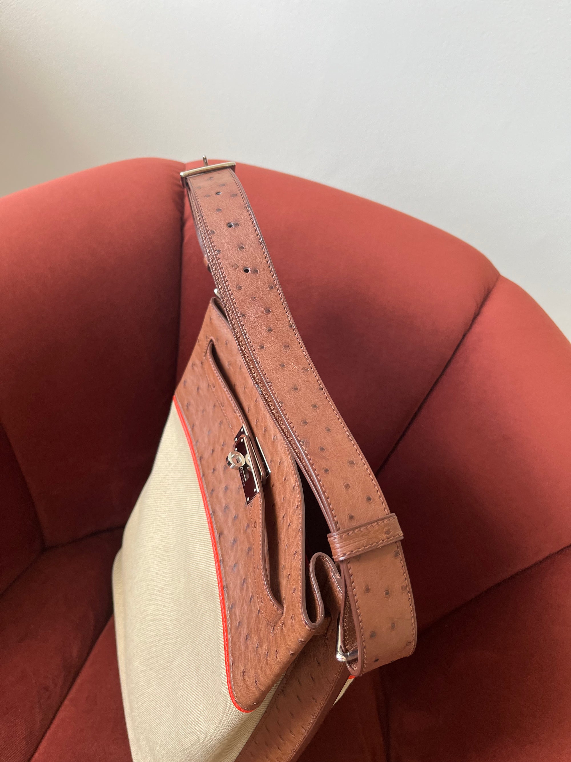 Hermès Limited Edition So Kelly 26 In Étrusque Ostrich &amp; Toile (2012)
