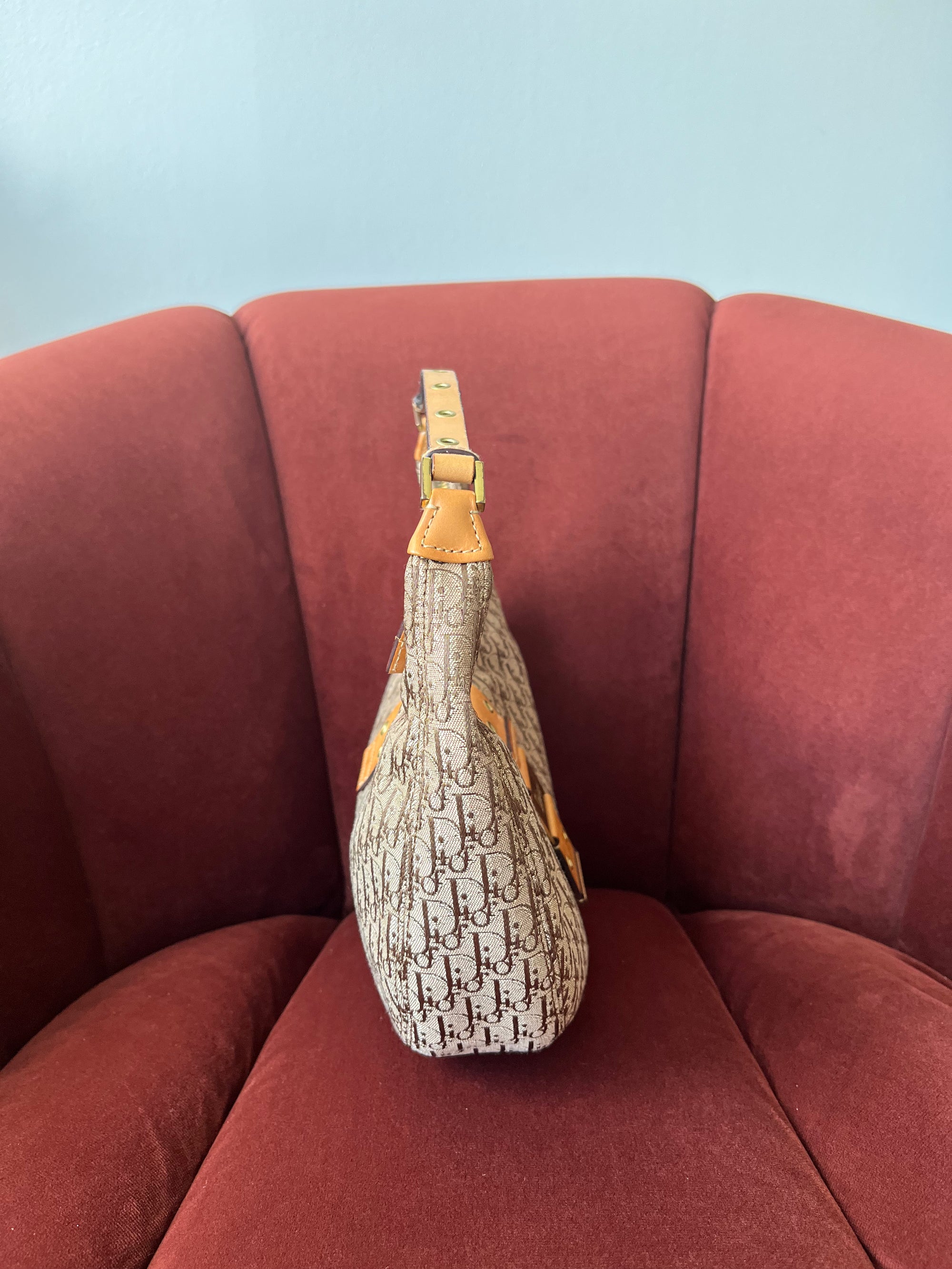 Dior Vintage Street Chic Half Moon Mini Hobo (2004)