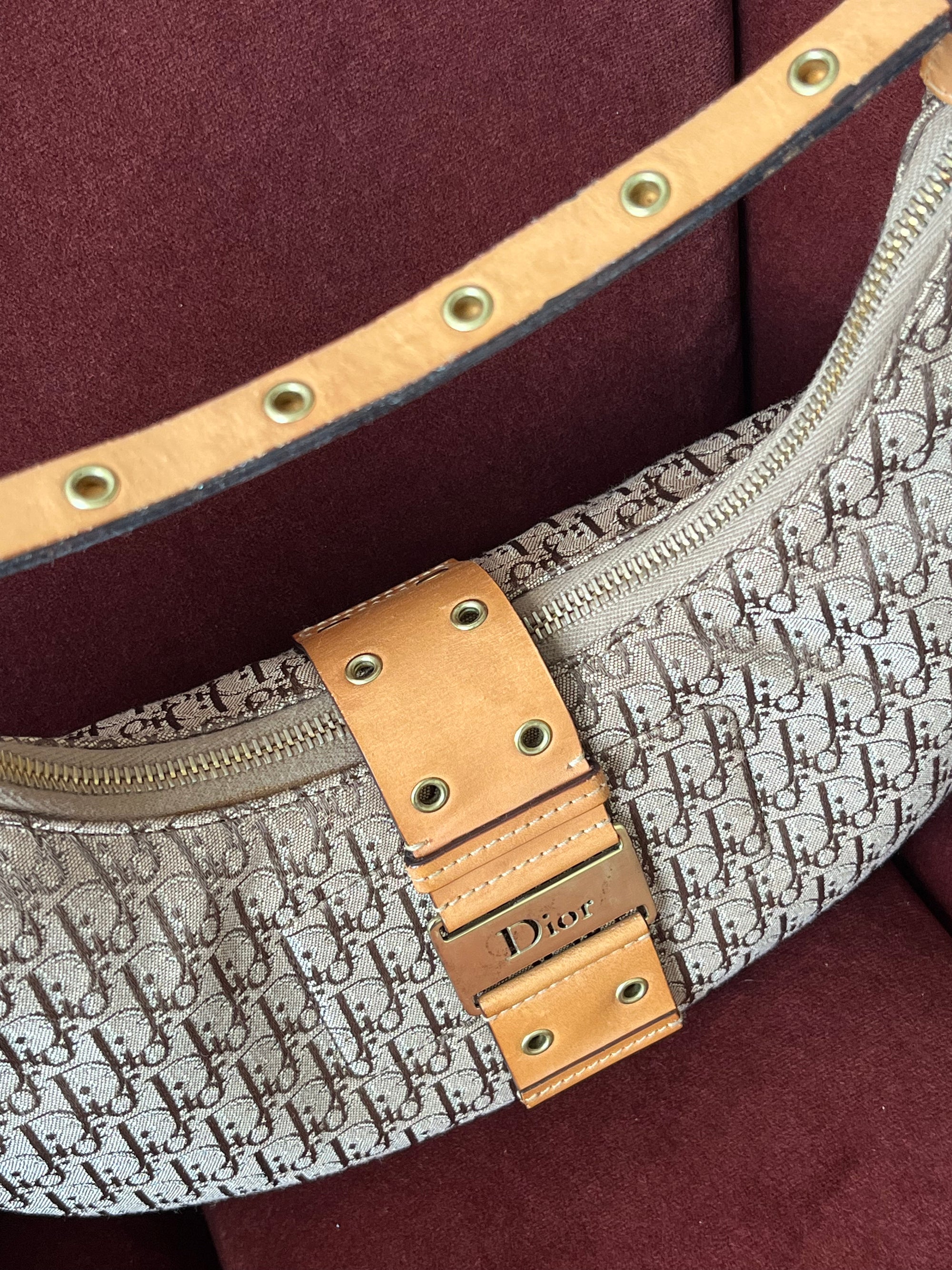 Dior Vintage Street Chic Half Moon Mini Hobo (2004)