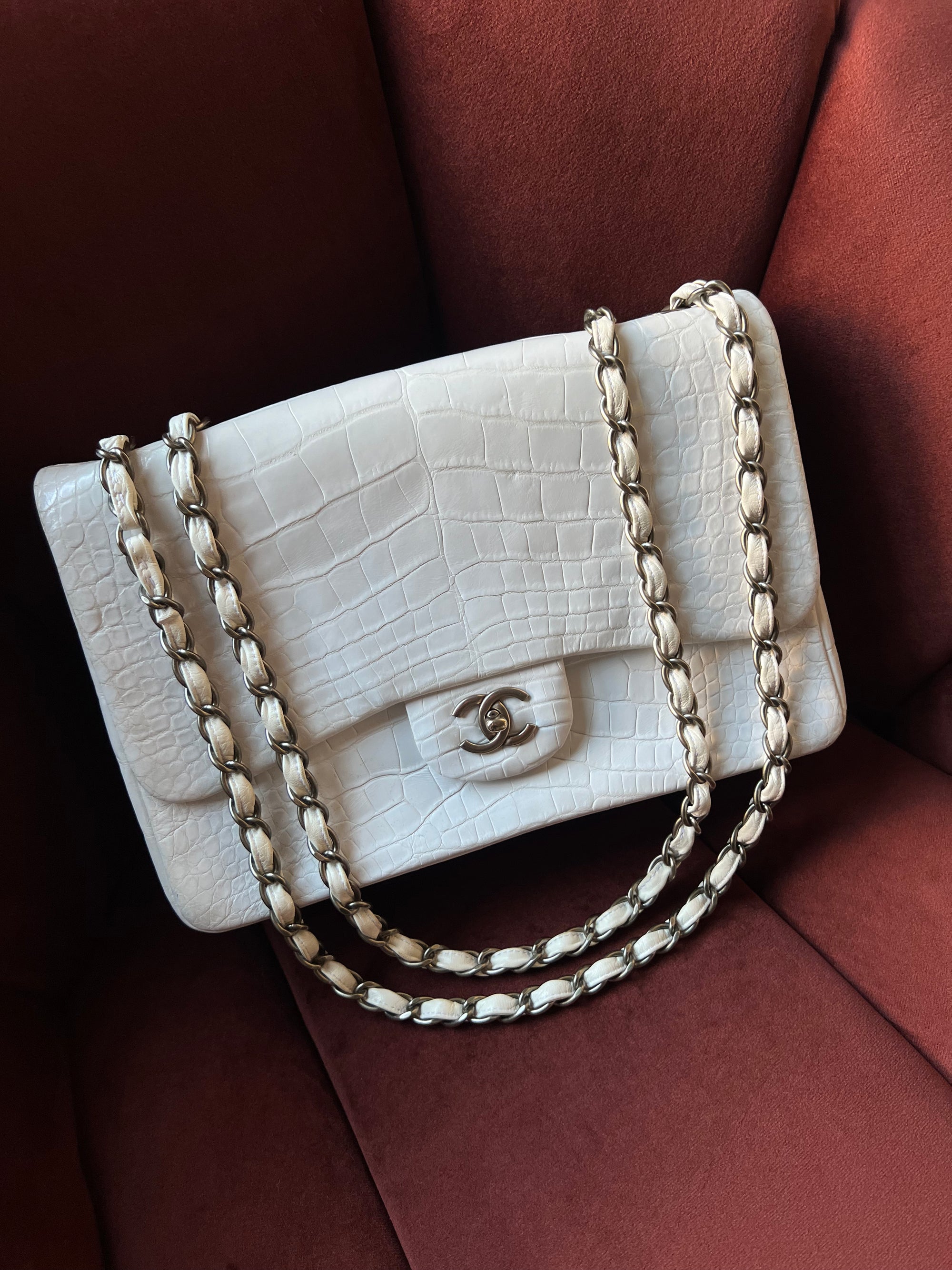 Chanel Jumbo Single Flap In White Alligator (2009-2010)