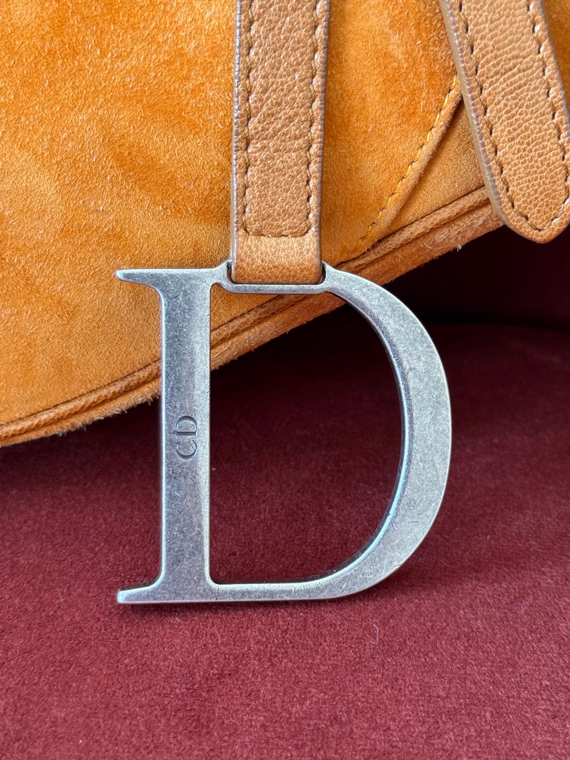 Dior by Galliano Limited Edition Embellished Suede Saddle Bag (2009)