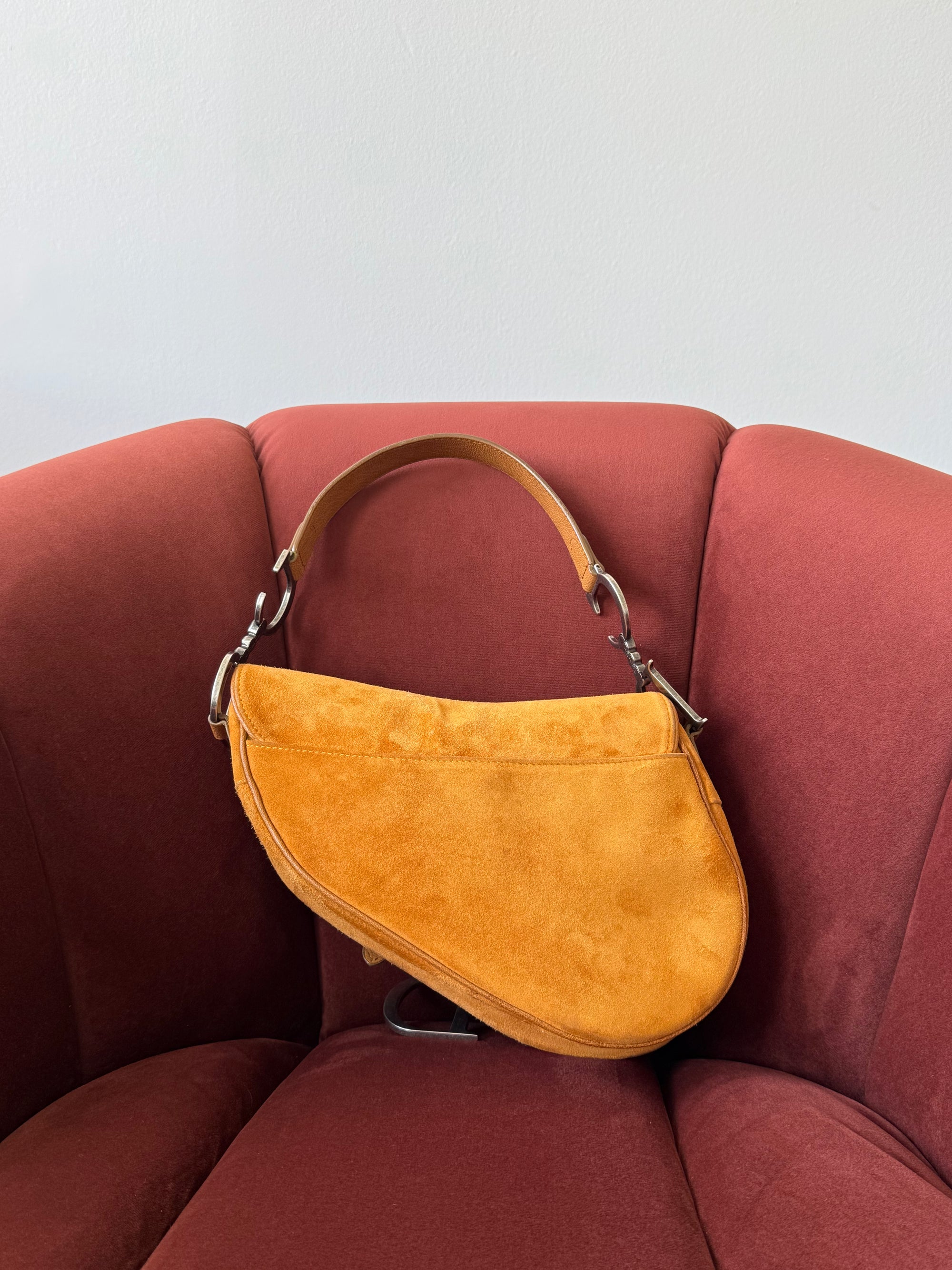 Dior by Galliano Limited Edition Embellished Suede Saddle Bag (2009)