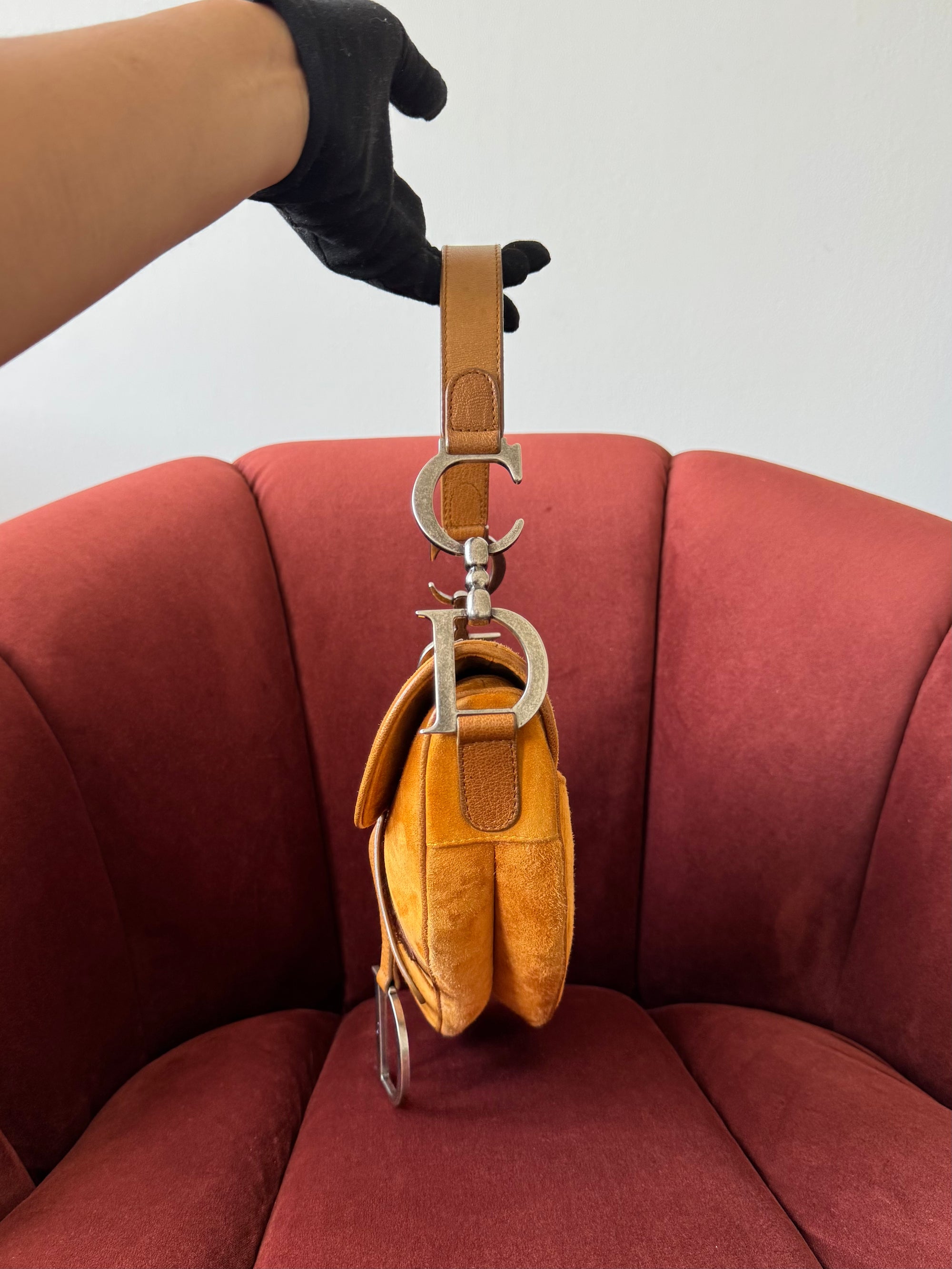 Dior by Galliano Limited Edition Embellished Suede Saddle Bag (2009)