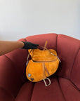 Dior by Galliano Limited Edition Embellished Suede Saddle Bag (2009)