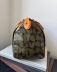 Louis Vuitton x Stephen Sprouse Khaki Graffiti Speedy 30 (2001)