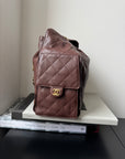 Chanel Medium 25 Hobo In Brown Caviar (2025)