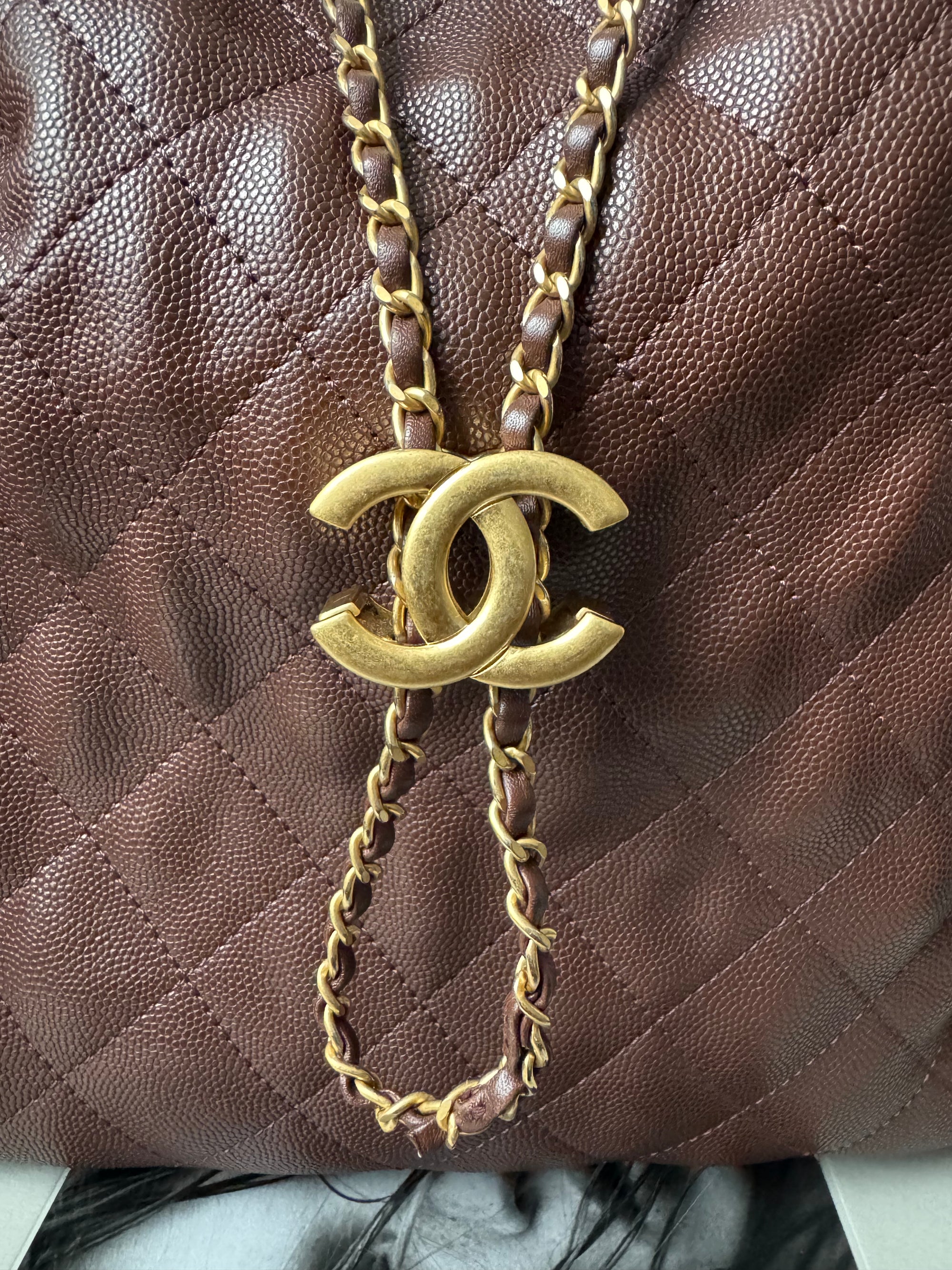 Chanel Medium 25 Hobo In Brown Caviar (2025)