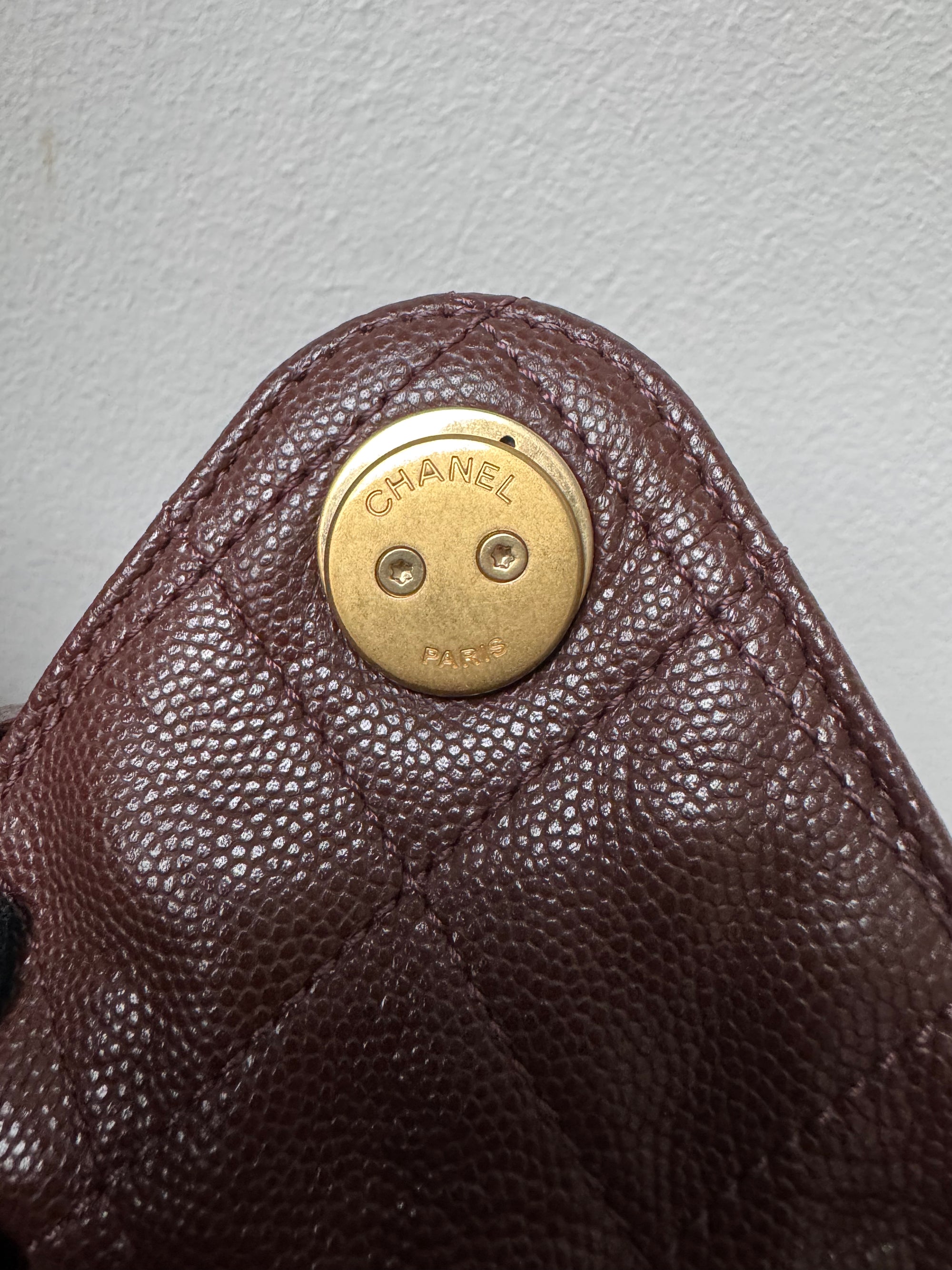 Chanel Medium 25 Hobo In Brown Caviar (2025)