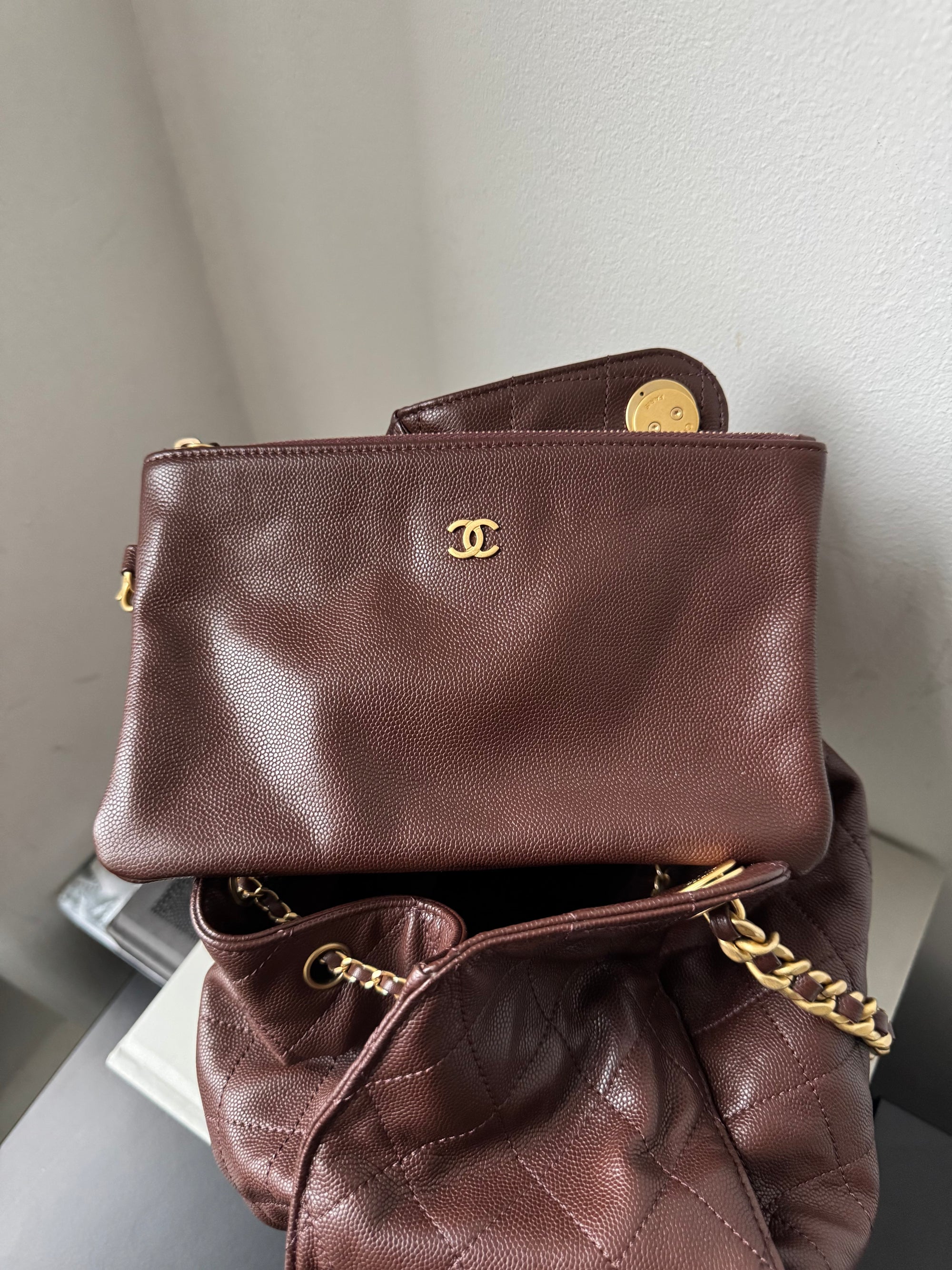 Chanel Medium 25 Hobo In Brown Caviar (2025)