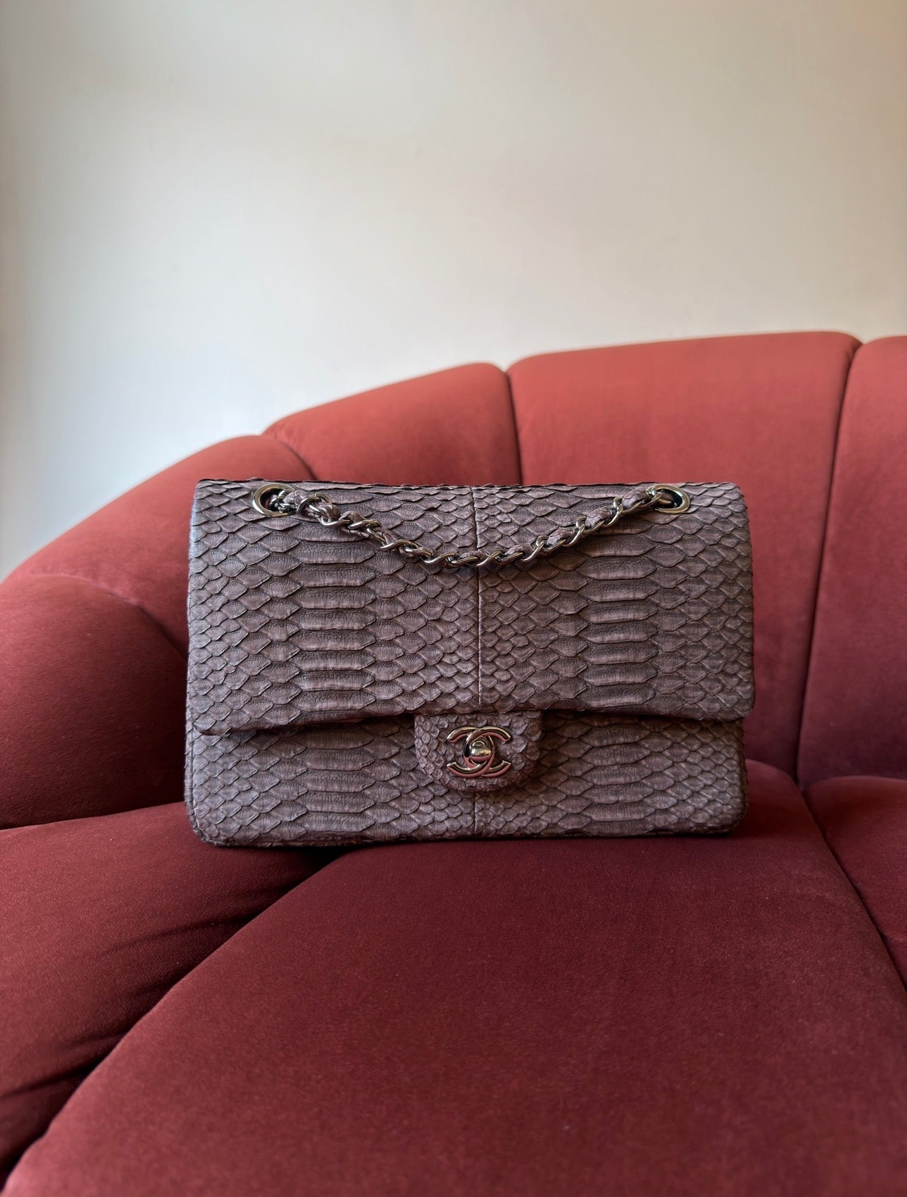 Chanel Medium Classic Double Flap In Espresso Python (2011)