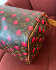 Louis Vuitton Cerises Cherry Speedy 25 (2005)