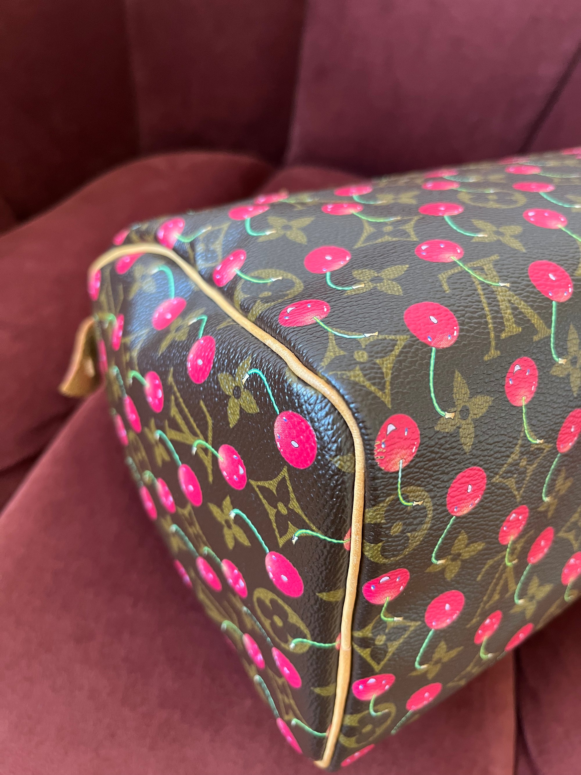 Louis Vuitton Cerises Cherry Speedy 25 (2005)
