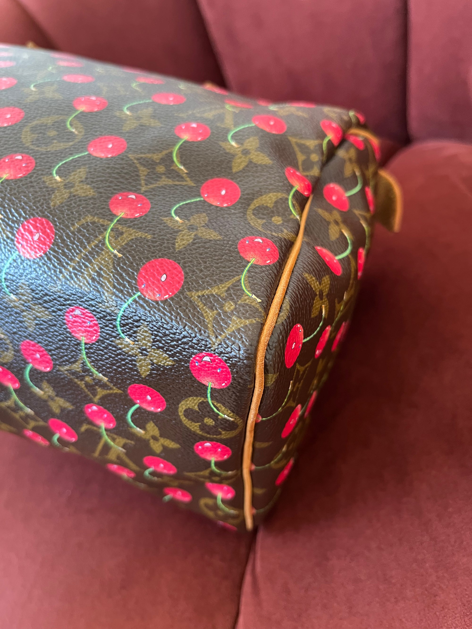 Louis Vuitton Cerises Cherry Speedy 25 (2005)
