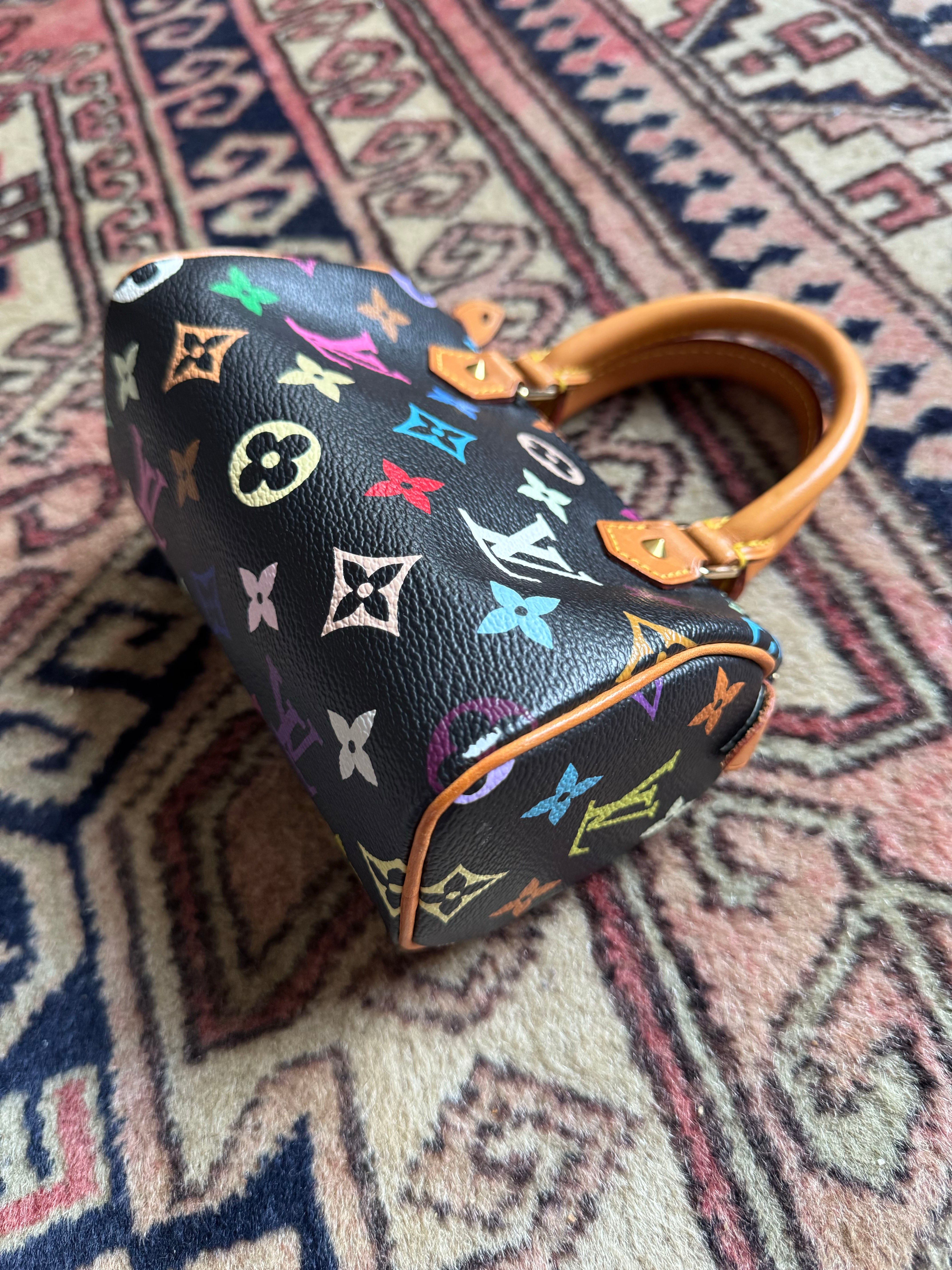Louis Vuitton x Takashi Murakami Vintage Black Multicolour Nano